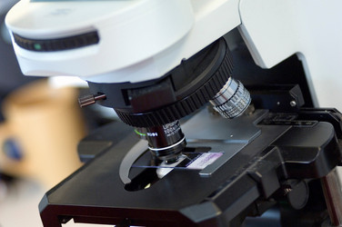 Similar image 8039040