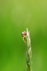 Similar image 8039046