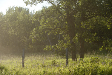 Similar image 8039059