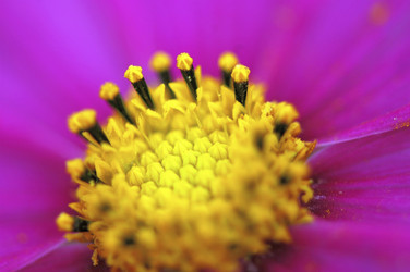 Similar image 8039061