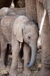 Similar image 8039062