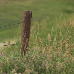 Similar image 8039070