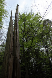 Similar image 8039081