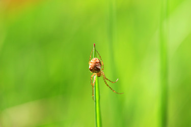 Similar image 8039088