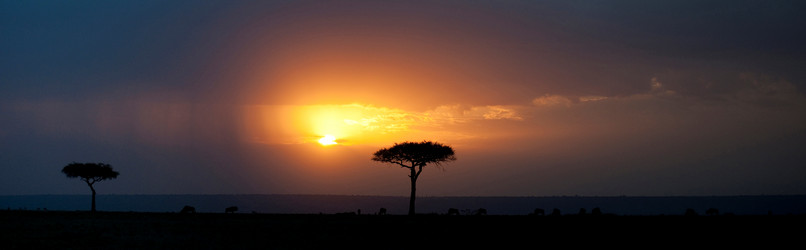 Similar image 8039089