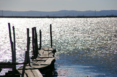 Similar image 8039091