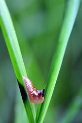 Similar image 8039094