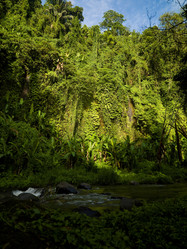 Similar image 8039095