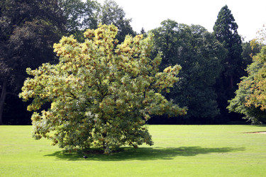 Similar image 8039096