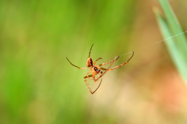 Similar image 8039104