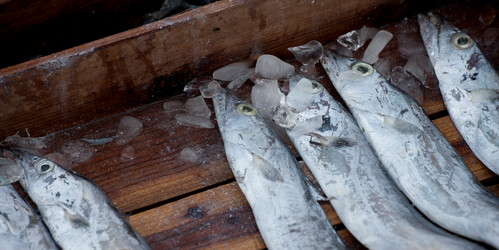 Similar image 8039118