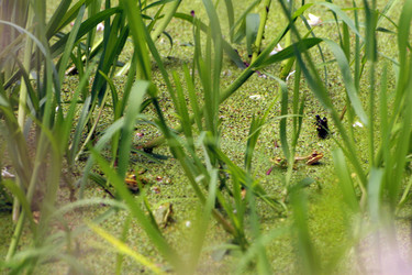 Similar image 8039120