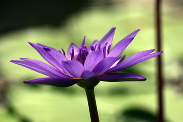 Similar image 8039130