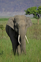 Similar image 8039146