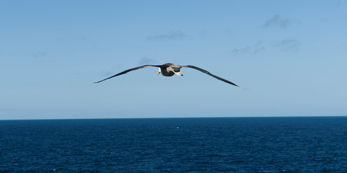 Similar image 8039149