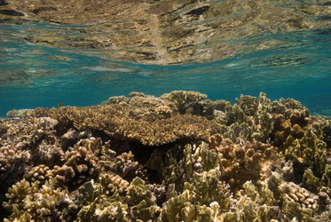 Similar image 8039162