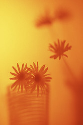 Similar image 8039163