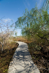 Similar image 8039168