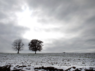 Similar image 8039171