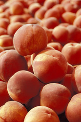 Similar image 8039174