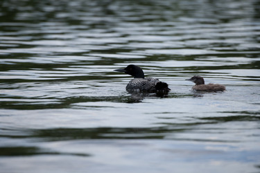 Similar image 8039184