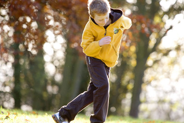 Similar image 8039187