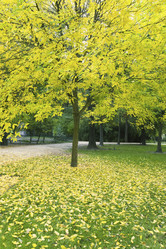 Similar image 8039188