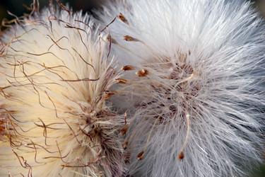 Similar image 8039190