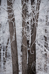 Similar image 8039192