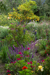 Similar image 8039202