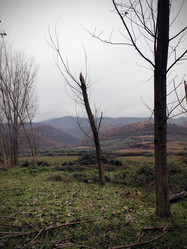 Similar image 8039210