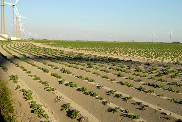 Similar image 8039213