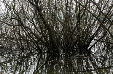 Similar image 8039214