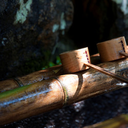 Similar image 8039215