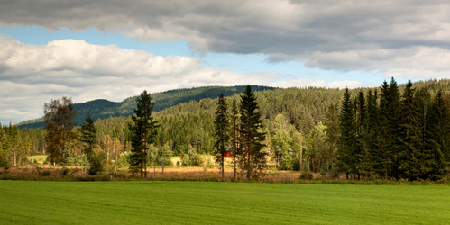 Similar image 8039218