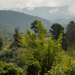 Similar image 8039223