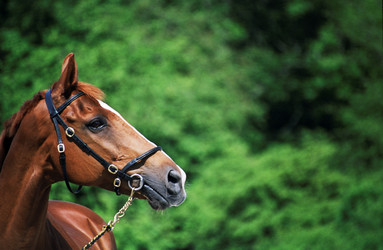 Similar image 8039227