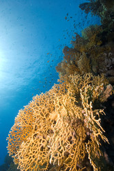 Similar image 8039226