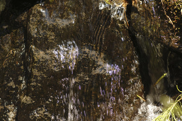 Similar image 8039229