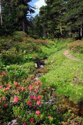 Similar image 8039234