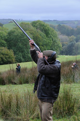 Similar image 8039240