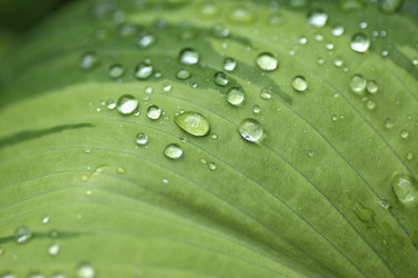 Similar image 8039241