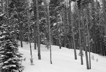 Similar image 8039242