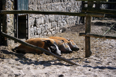 Similar image 8039247