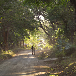 Similar image 8039253