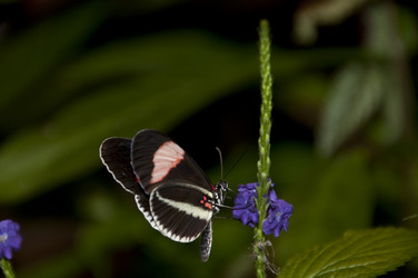 Similar image 8039261