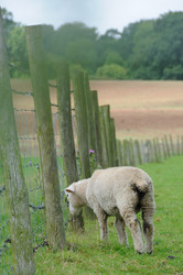 Similar image 8039274