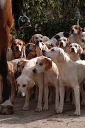 Similar image 8039279