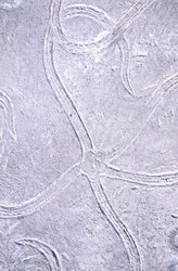 Similar image 8039291