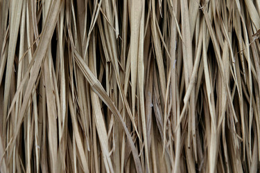 Similar image 8039293